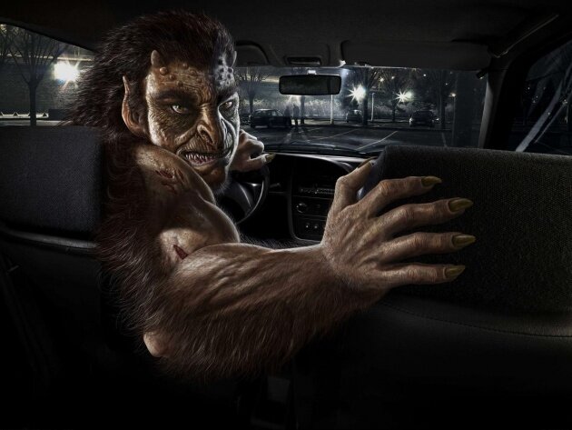 Изображение из интернета. 