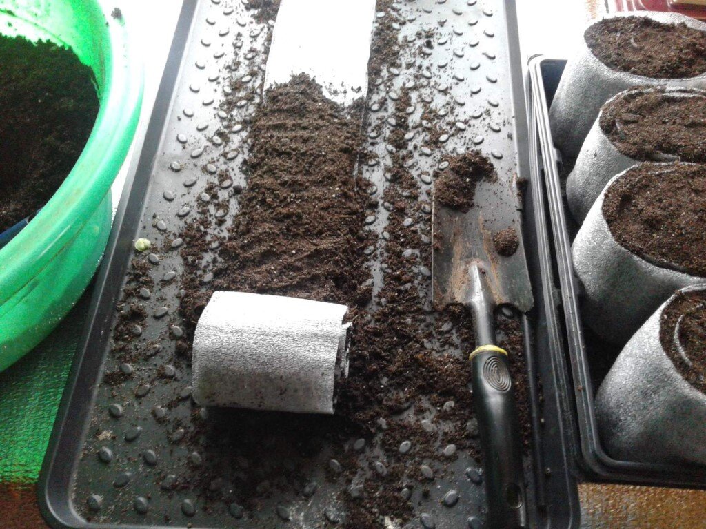 Готовлю улитки.Фото автора.