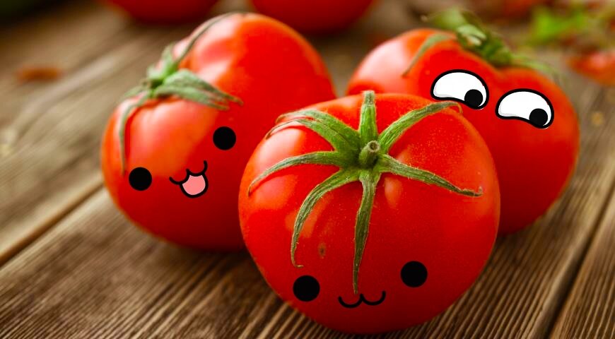 Если ты подумал об этих помидорах, то тебе обязательно нужно дочитать статью до конца