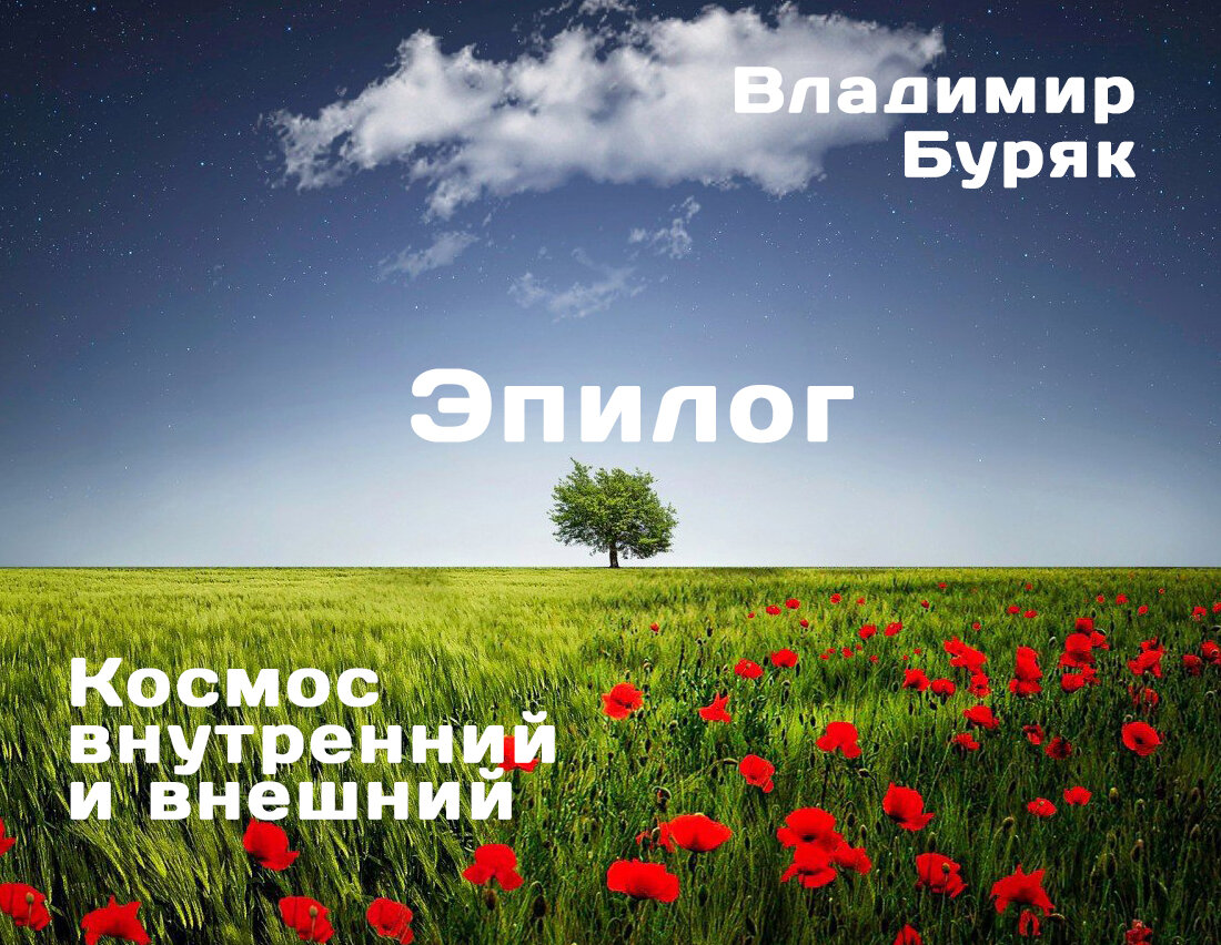 В иллюстрации автора использовано изображение из свободных источников