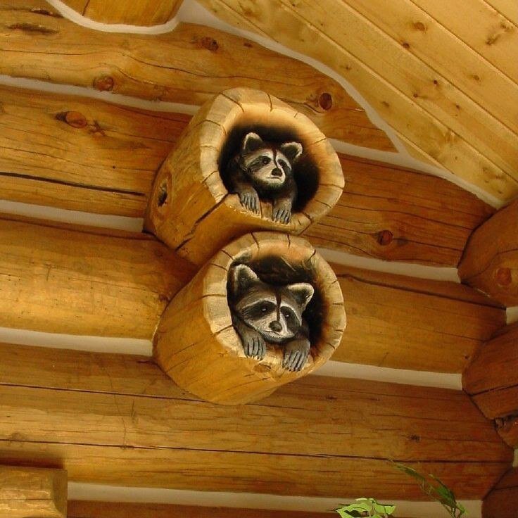 Фото из открытых источников.