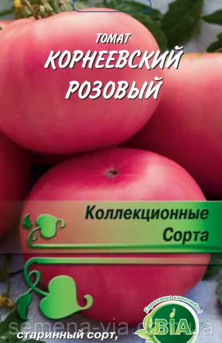 Томат розовый описание сорта фото отзывы. Помидоры сорт Корнеевский. Томат Корнеевский розовый. Томат Корнеевский розовый характеристика и описание. Томат Корнеевский характеристика.