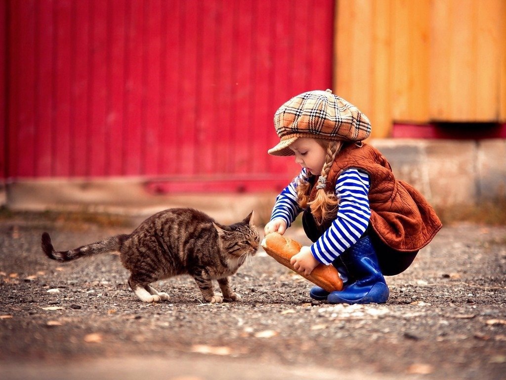 Фото из доступных интернет-источников