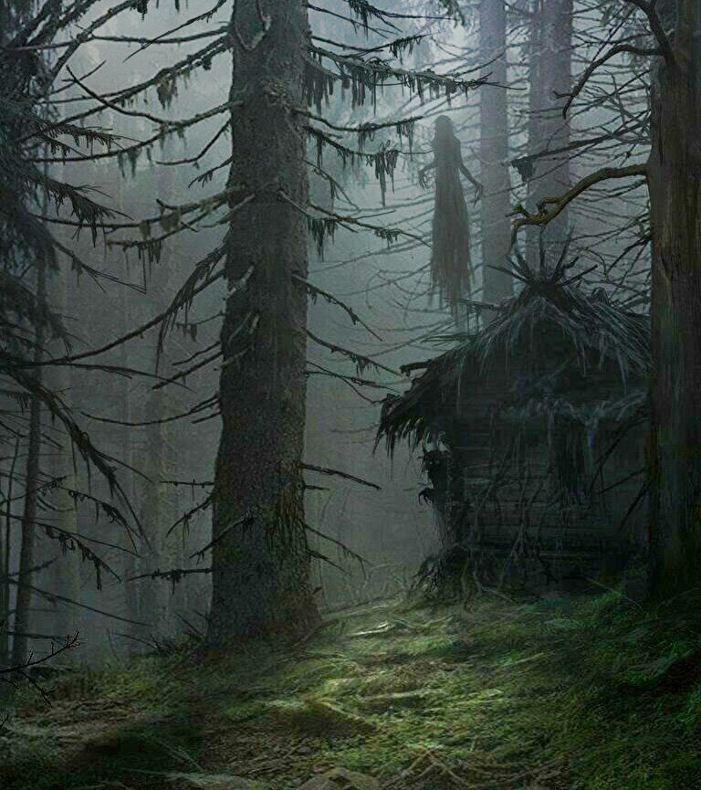 The Woods, 2006