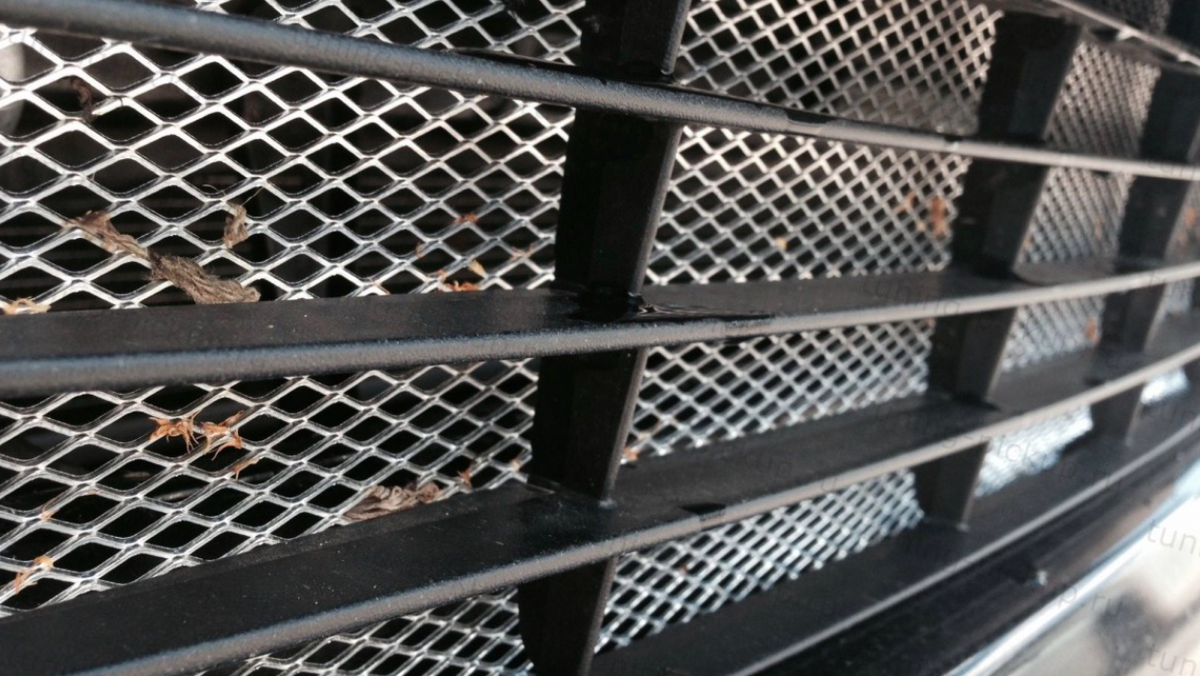 Установлена мелкая сетка.