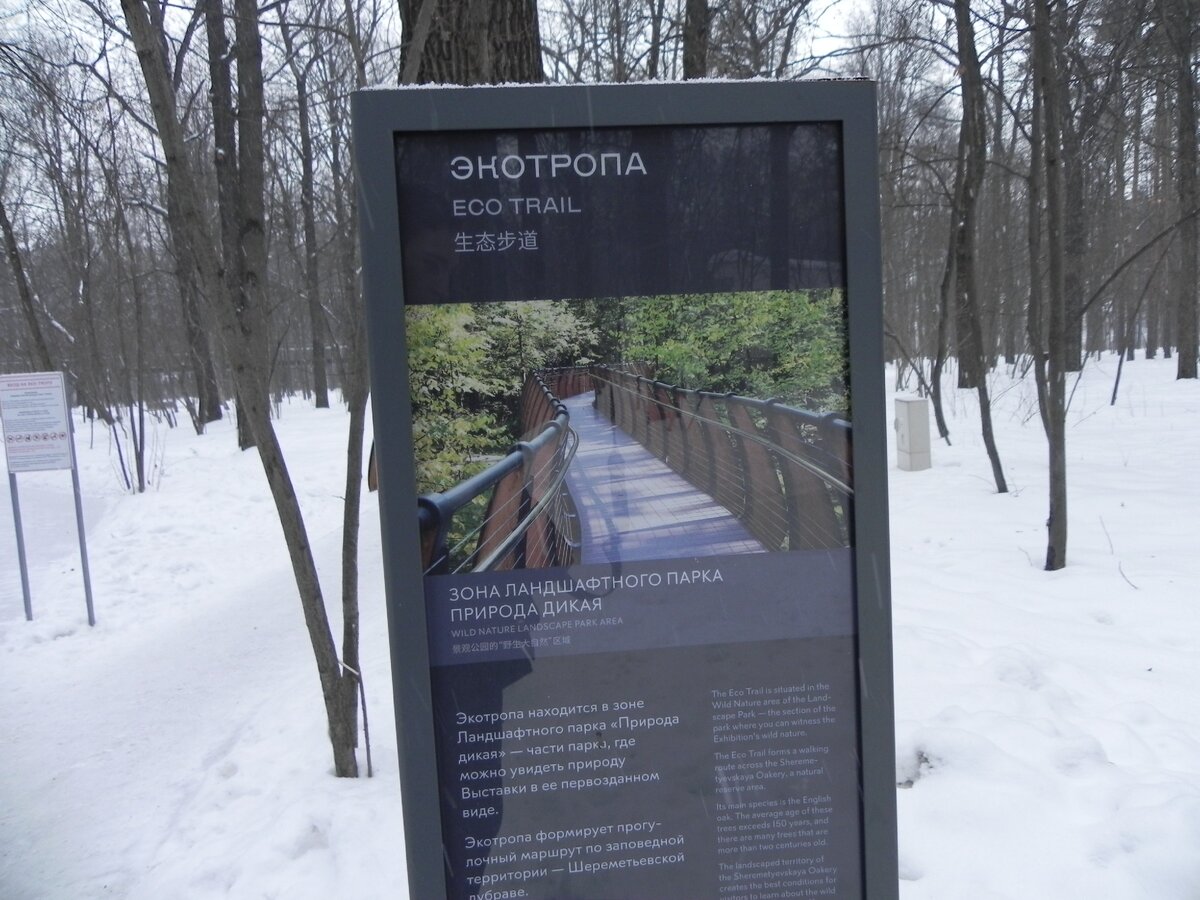 Экотропа. К ней ближе всего подойти через Останкинский парк