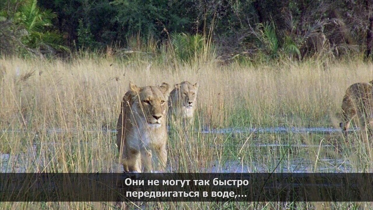 -1-2