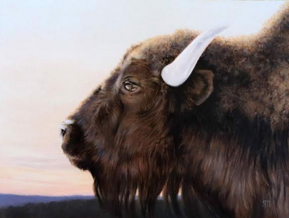 “Bison No. 2” фото:https://www.principlegallery.com
