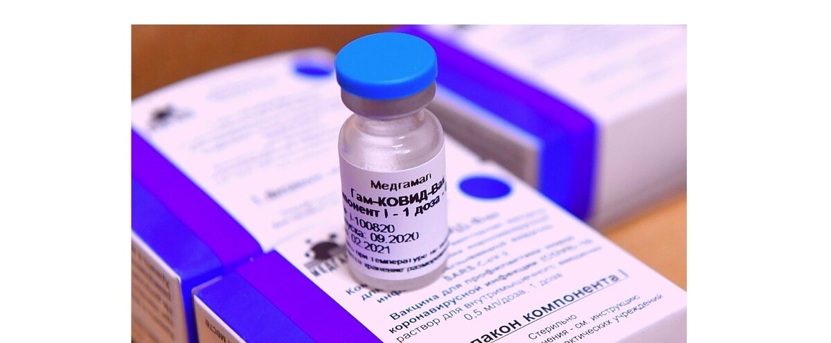 Фото из Яндекс. Картинки