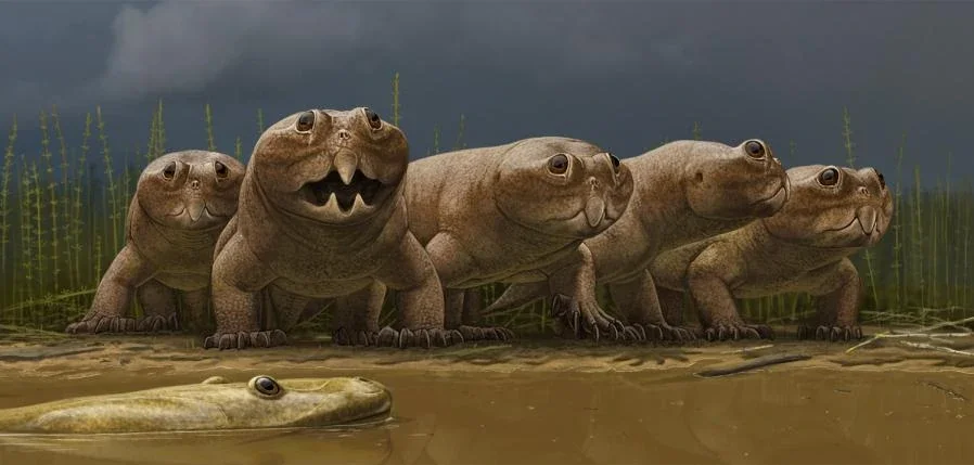 Ну что, Сусанин, куда теперь нам идти? 