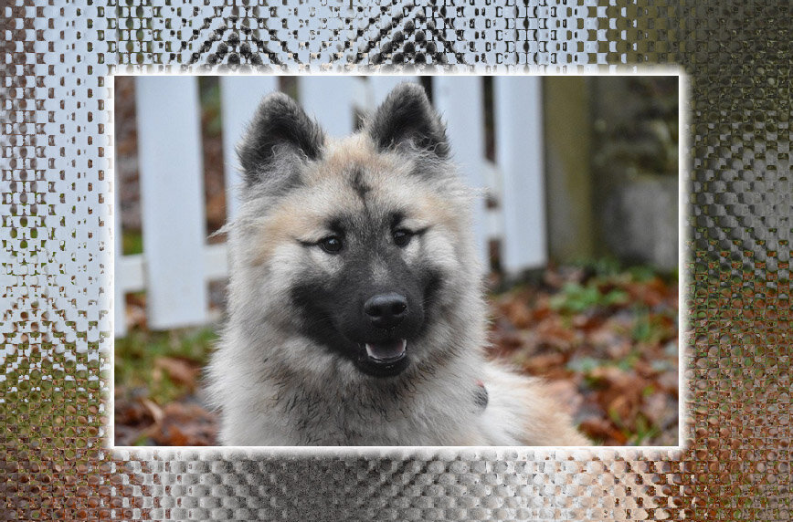 Фото с сайта Pixabay.com. Обработка автора