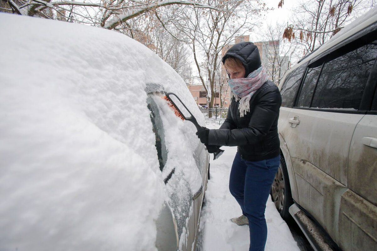Фото: портал мэра и правительства Москвы
