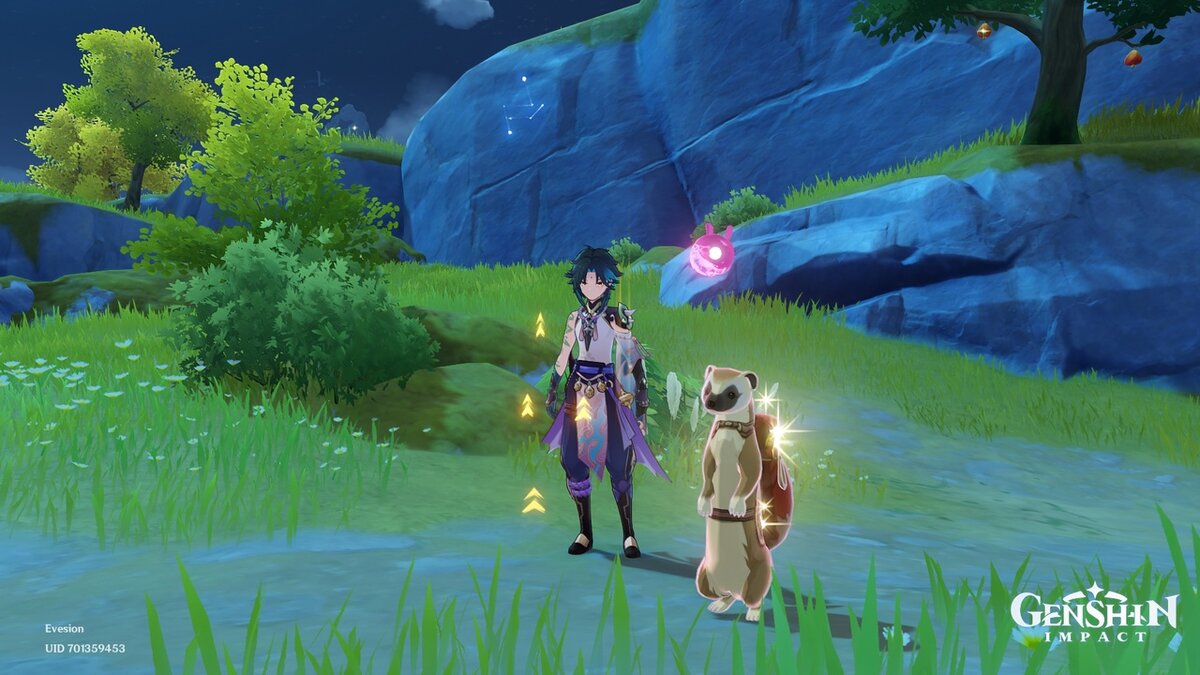 Сяо с денежным хорьком