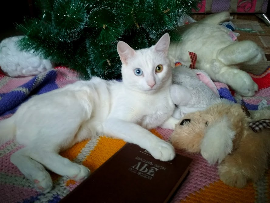 Фото автора