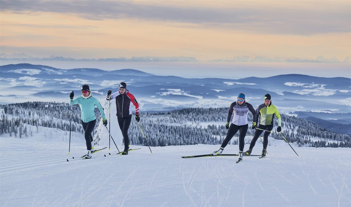 Типы и характеристики беговых лыж и техники передвижения | Sun Sport | Дзен