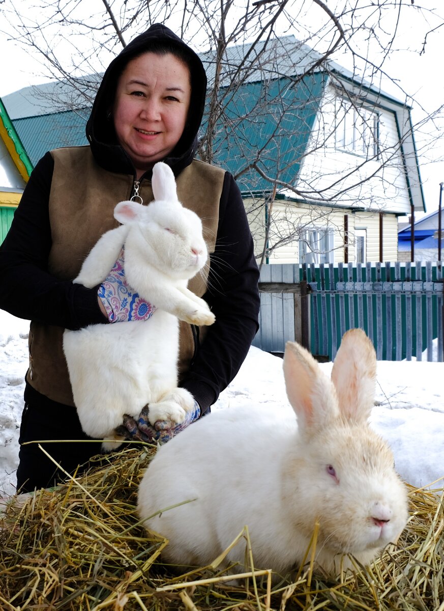 Самец Лапа и его жена Маша произвели на свет более 200 крольчат и благополучно ушли на пенсию!
