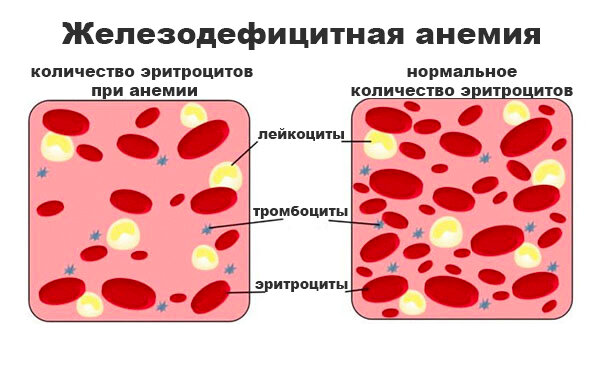 как меняется состав крови 