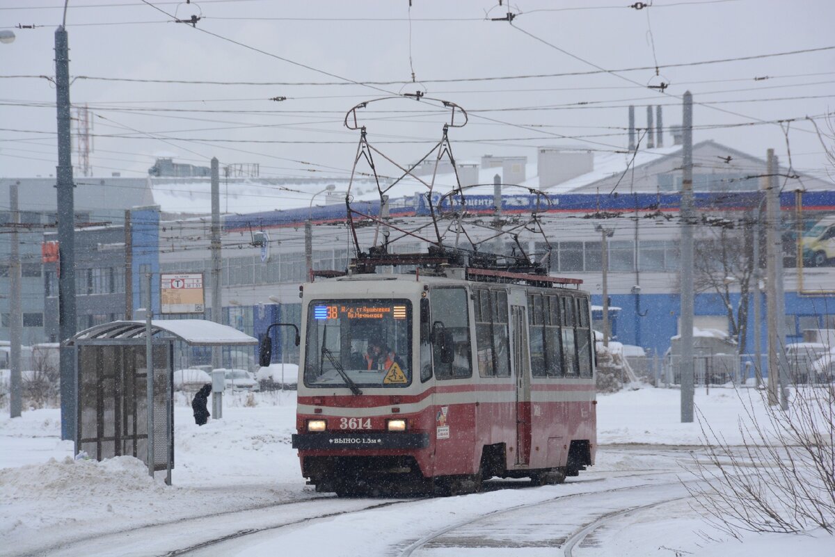 Фото автора канала.