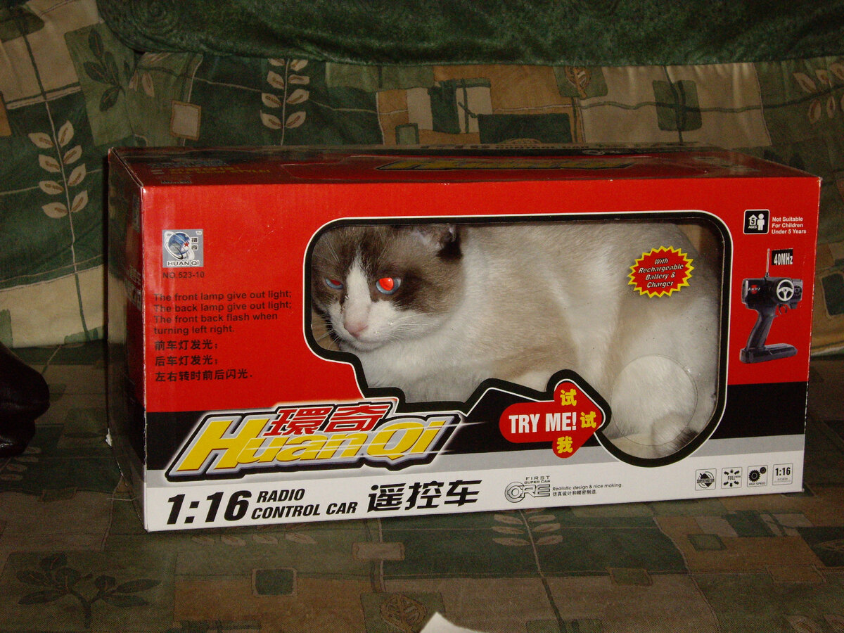 шесть котов. забавный кот. обои на телефон высокого качества штатные реалми 9 про коты. прикольные кошки. котята 6 штук.