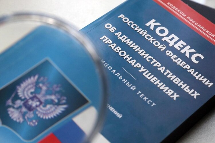 Фото из открытых источников.