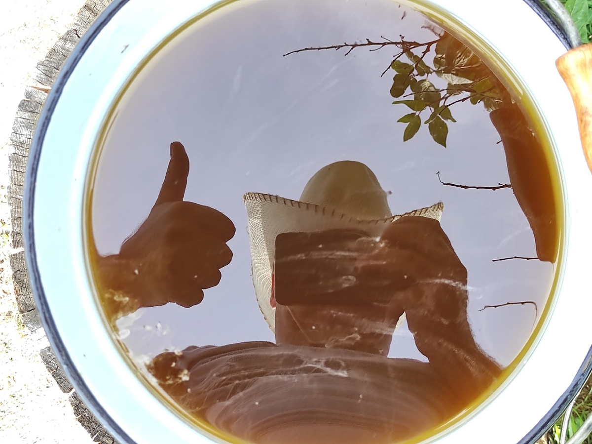 Мёд с лугового разнотравья