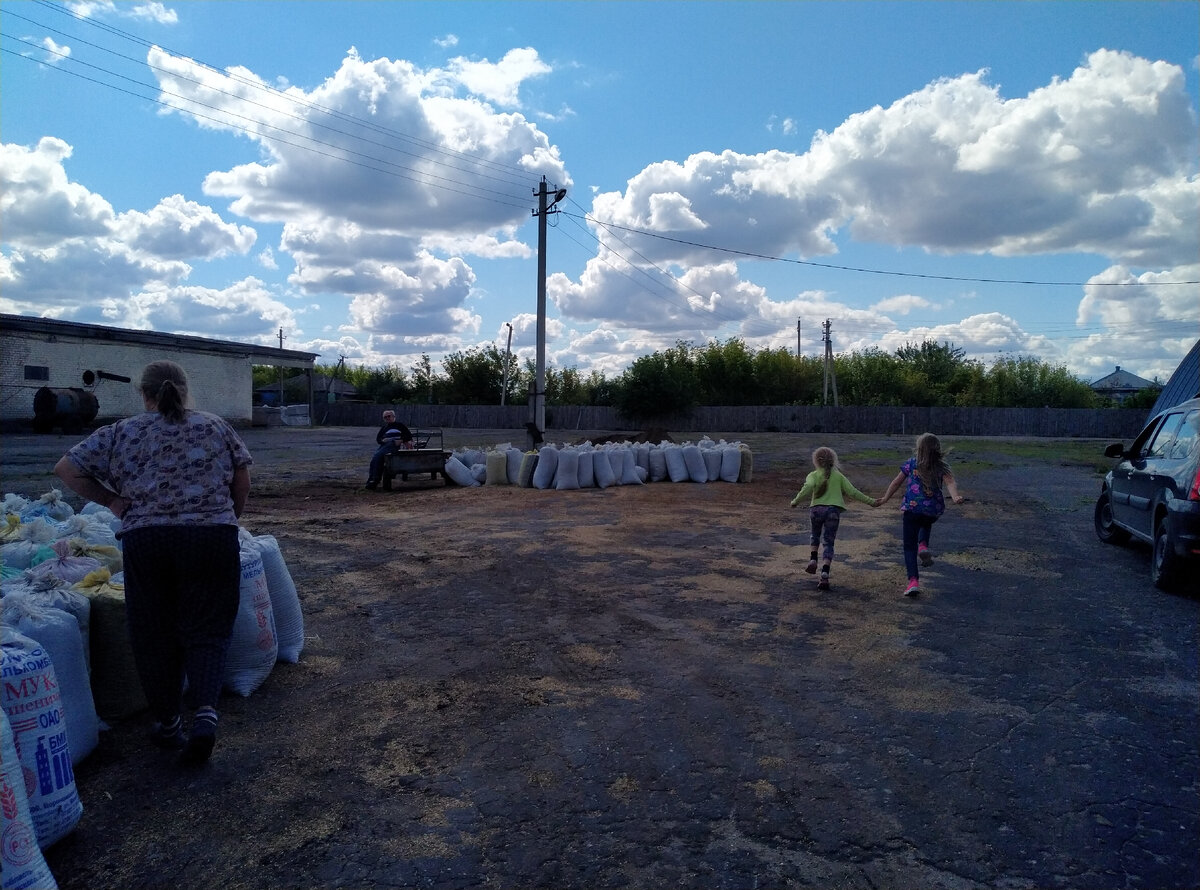 Пять человек, три машины и один мотоблок, двое детей.. Табор!