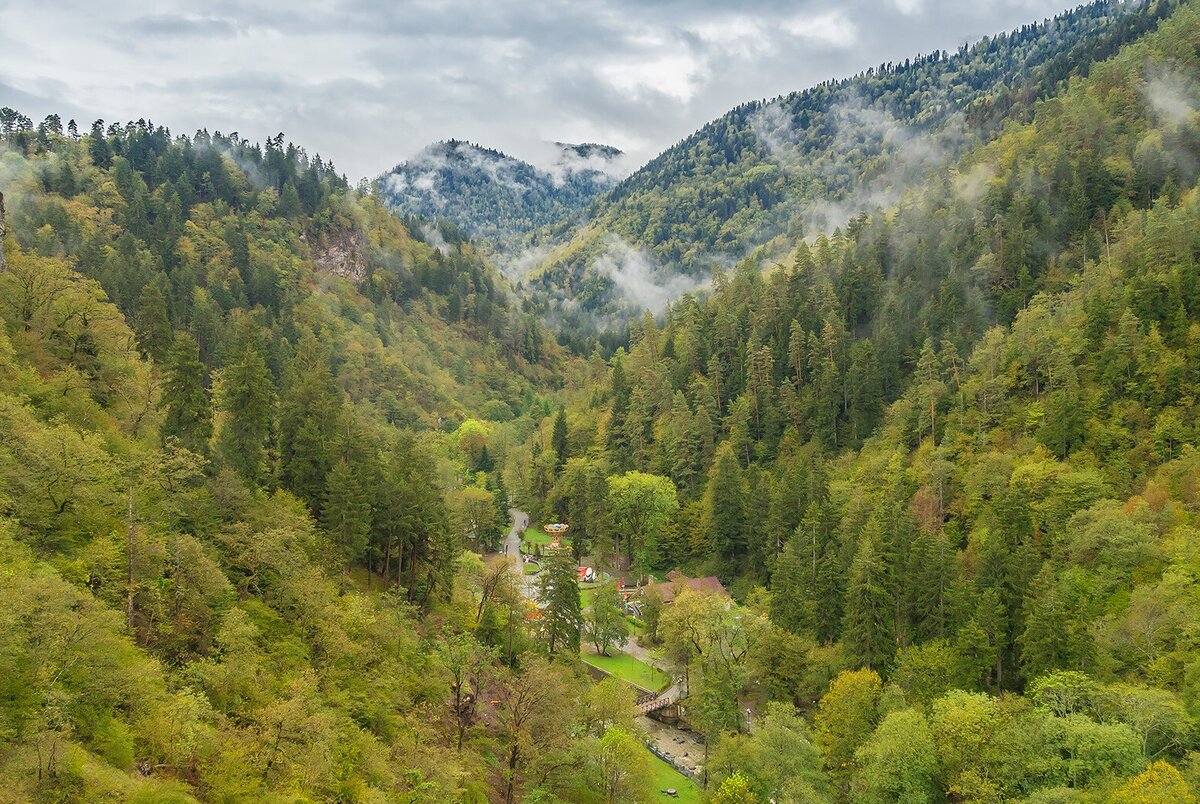 Боржомский лес Джорджия