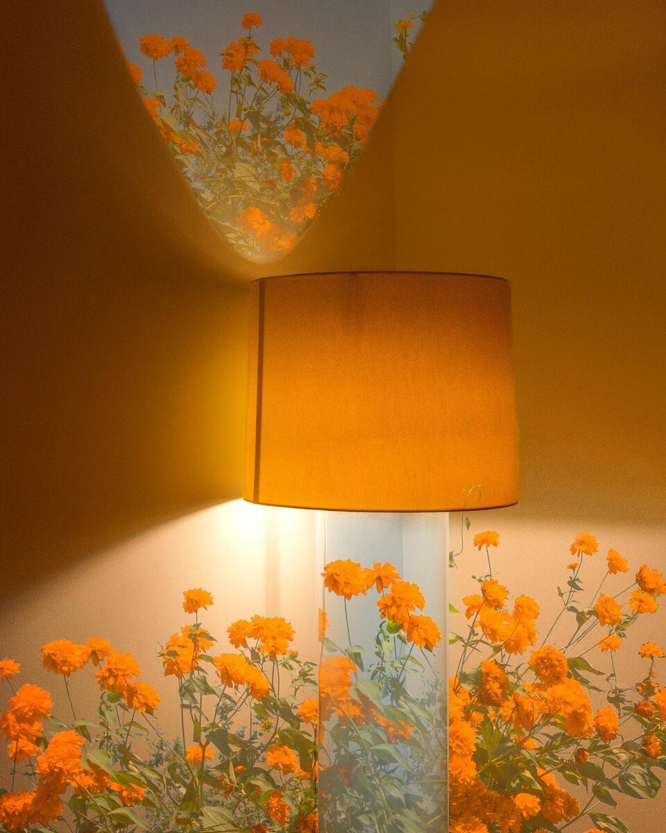 Фото: @tinycactus