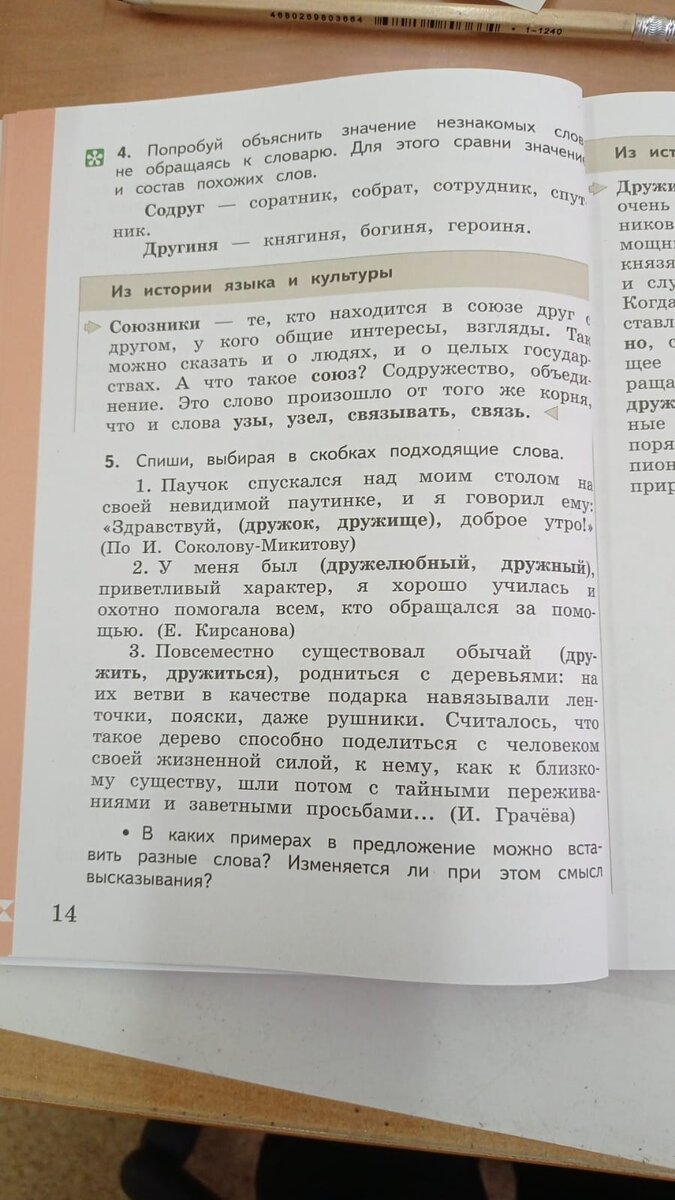 Новые предметы у ребенка - родной язык и родная литература. Зачем их ввели,  и почему недовольны родители и учитель | Заметки мамы-училки | Дзен