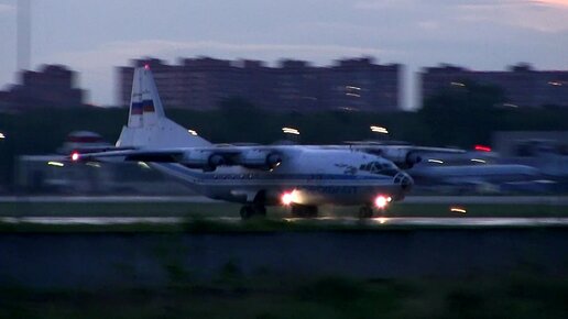 Ан-12БК RA-12968 привёз белую медведицу из Якутии в Москву