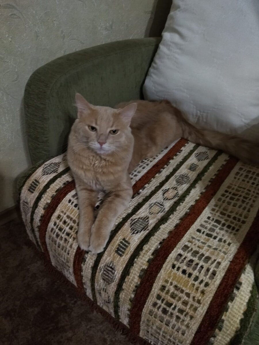 Перс. Главный квартиросъемщик и собственник жилья.