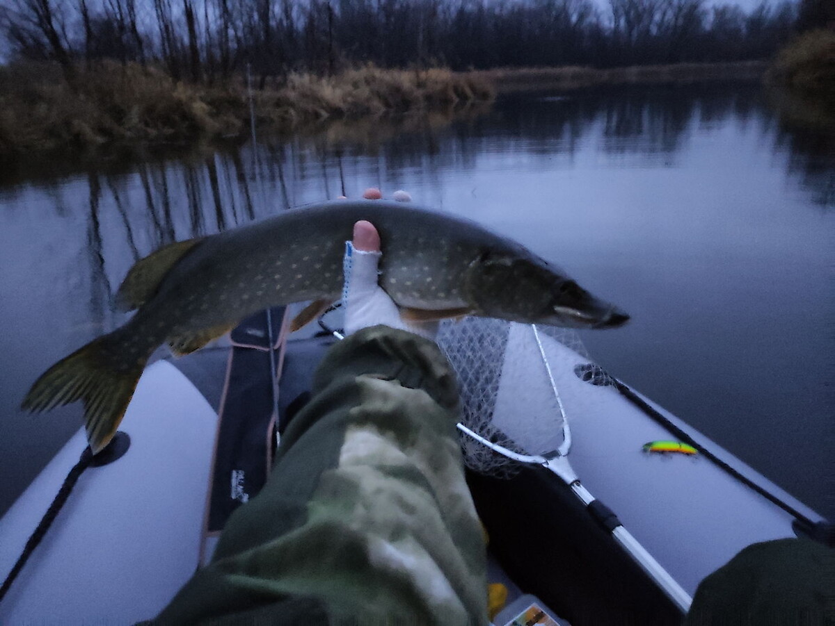 Сумеречная щука, клюнувшая на выматывании воблера