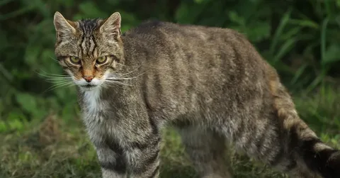 Фото из открытого доступа интернета