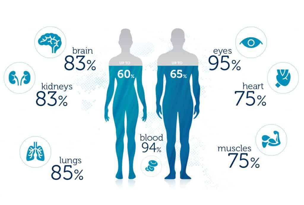 Насколько человек из воды. Человек из воды состоит на процентов. Человек на 80 процентов состоит из воды. Вода в организме. Тело человека состоит из воды.