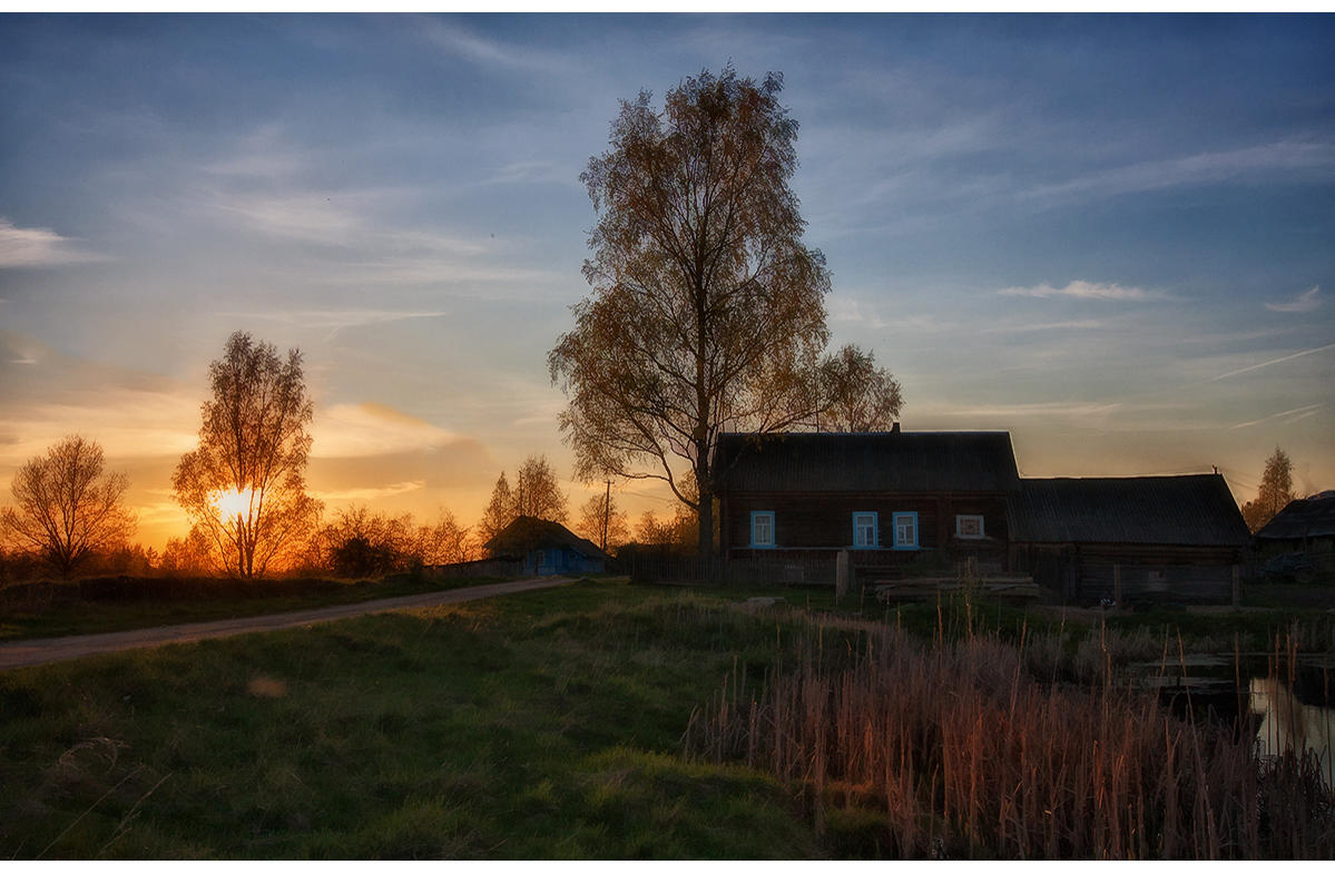 яндекс картинки