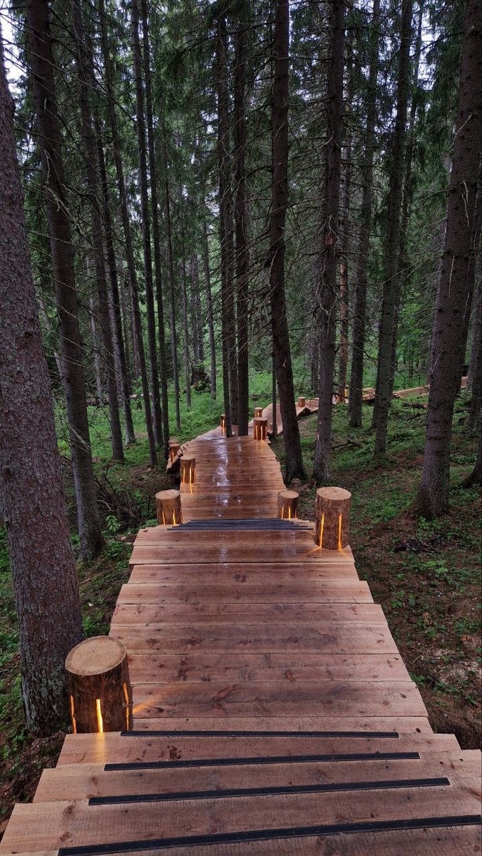 Тропа к горе Паасонвуори в Карелии