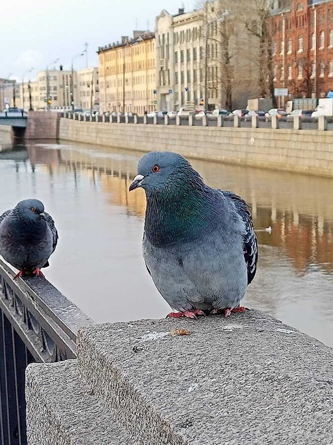 Чего смотришь?)