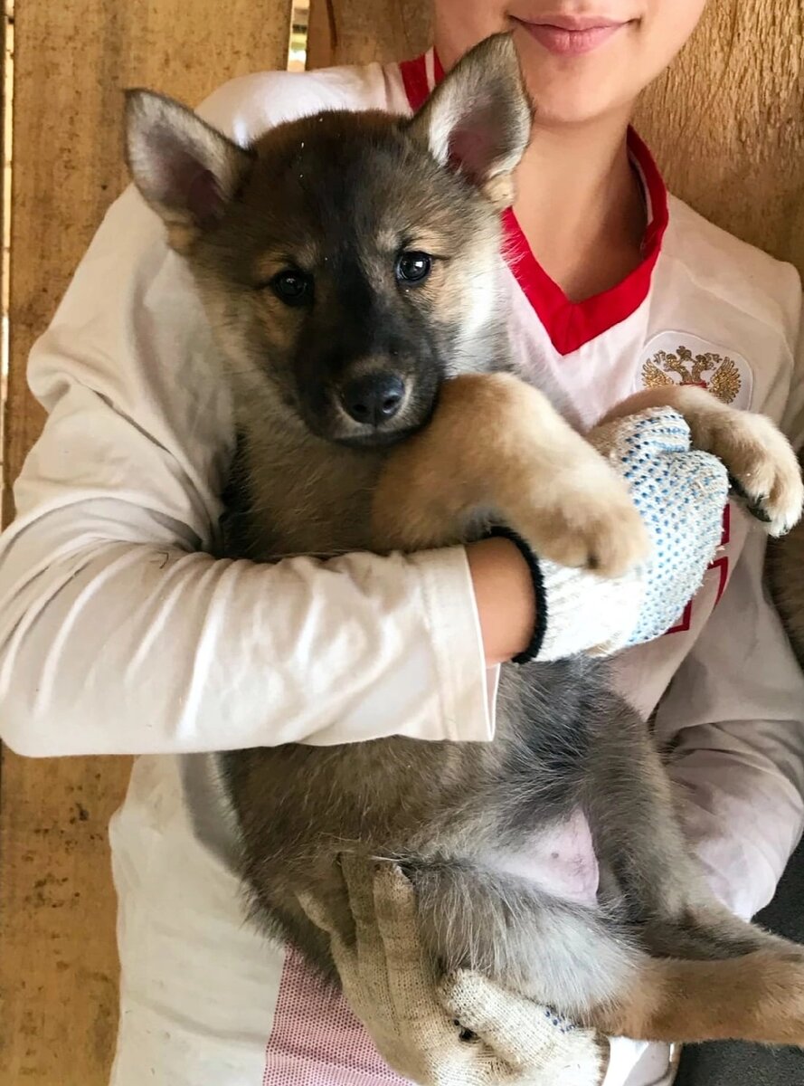 Мы назвали её Джессикой .