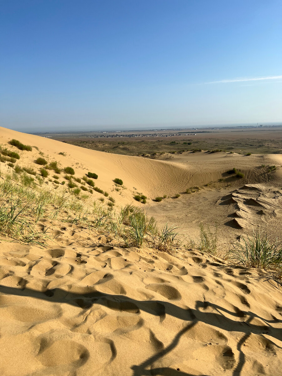 Сарыкум в дагестане фото