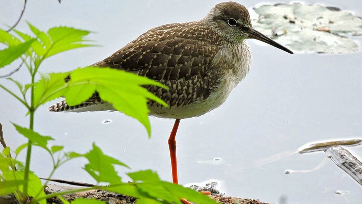    Фото: mos.ru / Официальный сайт мэра Москвы