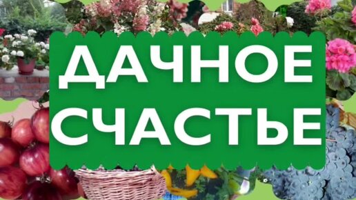 Загородное счастье