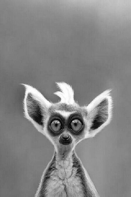 Михаилу предложили руководящую должность в солидной фирме, о которой он и мечтать не мог. Как только он принял это предложение в его голове появились навязчивые мысли о том, а достоин ли он этой должности? Вдруг я не справлюсь с обязанностями? Никак не мог понять по каким критериям выбрали именно его, а не Сашу, который, как он считал, лучше подходит на  эту должность.

Маша  в свободное время от работы печет торты по заказу близких и знакомых. Ей очень бы хотелось, чтобы любимое дело приносило больше дохода, но для этого нужно развивать социальные сети. Также, есть страх, что люди не будут заказывать именно ее изделия и будут оставлять только негативные отзывы. Поэтому, живёт Машенька в привычном ритме, ходит на нелюбимую работу и мечтает, что когда-нибудь будет известным кондитером в своем городе.

Узнали себя или своих близких в этом примере? Данное явление называется "феномен самозванца" - когда человек не уверен в своих профессиональных качествах и любые достижения объясняет волей случая, а не приложенными усилиями. Им кажется, то чем они занимаются, должно быть идеальным - мир делится на чёрное и белое и нет середины. Таким людям тяжело принимать комплименты в свой адрес, т. к. им кажется, что в словах собеседника кроется подвох. Но если скажут что-то плохое, то они это надолго запомнят (и будут с этим согласны). 

В глубине души они бессознательно ищут подтверждение своей непригодности. Либо выбирают ту фигуру для подражания, которой невозможно быть. Получается замкнутый круг, человек постоянно находится в стрессе, т. к. нужно доказать окружающим, что ты чего-то стоишь. Это может привести к негативным последствиям, например, таким как депрессия. 

Валерия Янг, эксперт по "самозванцем" классифицировали  людей с разными типами этого явления.
Перфекционизм - все должно быть на высоте. Феномен  самозванца открыт в 1978 году, психологами Полин Роуз Клэнс и Сьюзен Аймс. По наблюдениям которых многие успешные женщины были склонны считать, что они не умны, что их окружающие люди переоценивают. Изначально считалось, что этому состоянию подвержены женщины, профессионалы в своей области, однако дальнейшие исследования показали, что мужчины тоже страдают от этого феномена. 

Чаще всего на развитие данной особенности личности влияет совокупность факторов, таких как внутренние качества человека: 
Характер, 
высокие внутренние требования к себе, перфекционизм,
жёсткие рамки. 
И семейное воспитание и окружение .

Например, часто сравнивают детей в семьях. Вот старший брат получил золотую медаль, куда тебе с ним тягаться. Или чересчур опекают ребенка,говорят ему постоянно, что все легко даётся. И когда он вырастает, то понимает, что нужно прикладывать усилия, и чувствует " себя обманщиком" раз у других все выходит хорошо.
Признаки наличия " чужого" в вас.
- Вам трудно принимать комплименты в свой адрес, а так же чувствуете себя некомфортно,когда вас хвалят, за что то.
Вы начинаете оправдываться, так как сам так не считаете.
- Вам кажется, что другие люди компетентнее вас.
Такие люди постоянно сравнивают себя с другими, принижая при этом свои достоинства и заслуги. Им кажется, что даже посторонним люди,которых они толком не знают и то лучше их.
- Свои заслуги приписываете посторонним обстоятельствам .
- Вам тяжело заметить маленькие победы.
-  Вы не верите в свои силы, вам кажется вы со всем не справитесь.
- Ждёте, что коллеги поймут,что вы из себя представляете и отвернуться от вас.
-Каждая ошибка конце света. 
- Вам тяжело оценивать адекватно стоимость труда, поэтому вы ставите низкий ценник или делаете это бесплатно. 
В следующем посте расскажу как помочь себе и дам тест на определение.