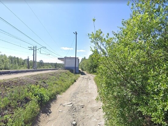     Покушение на убийство произошло на станции "Огородная". Фото: google.com/maps.
