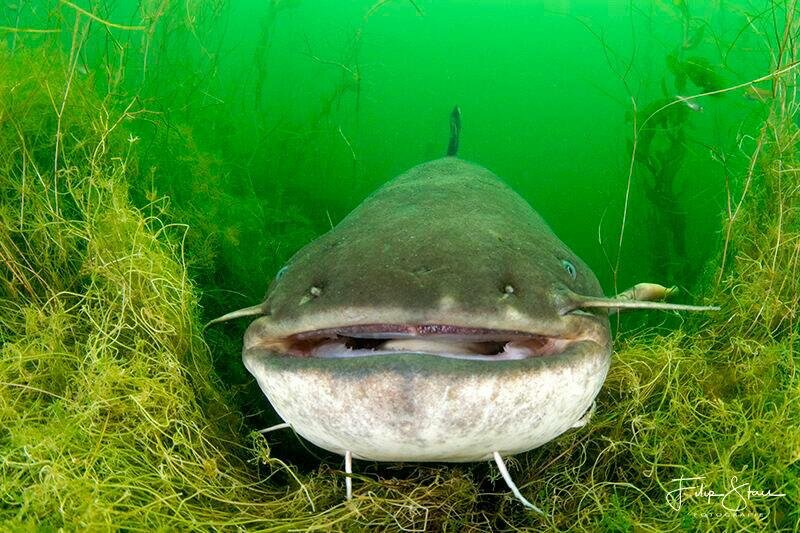 Источник: yandex.ru 