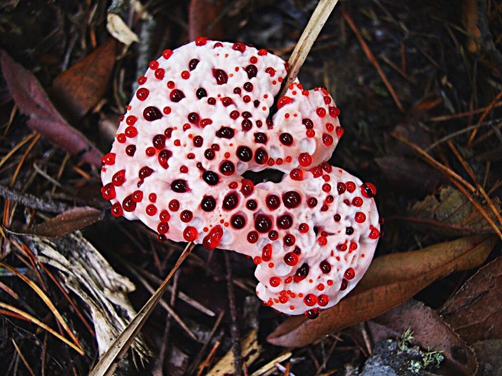 Photo by https://balthazar.club/ 