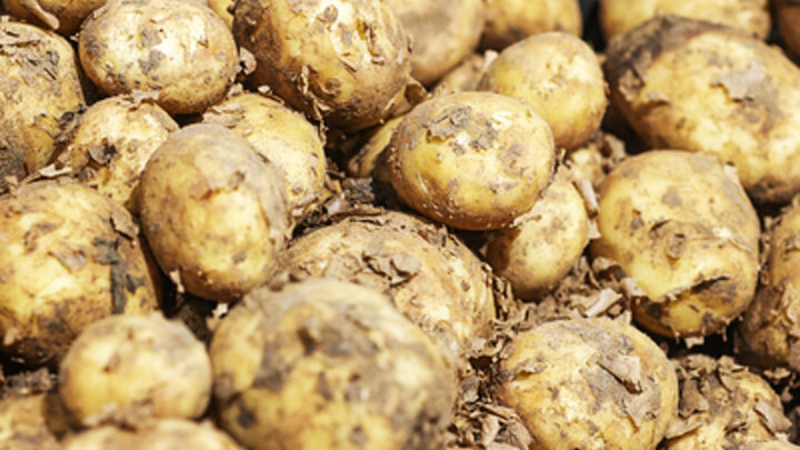 ФОТО: BULKIN SERGEY/GLOBALLOOKPRESS