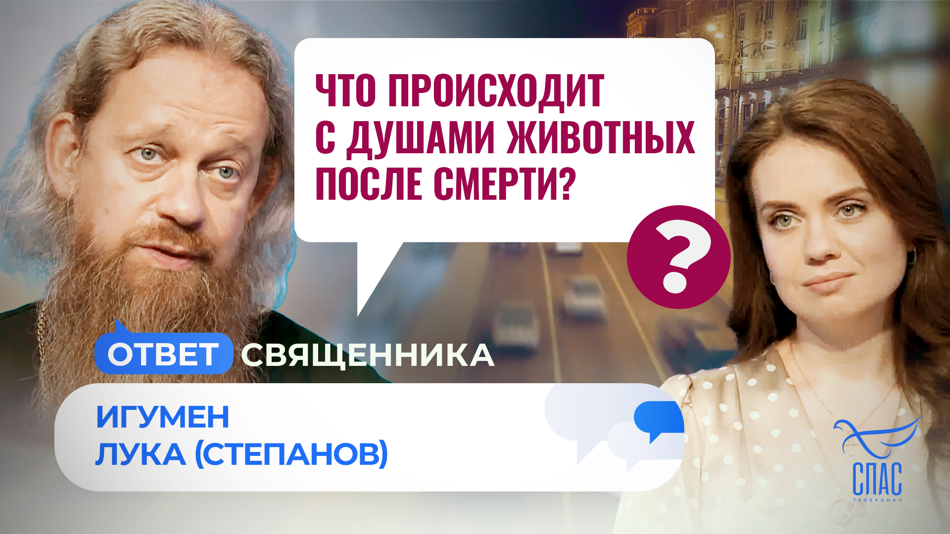 ЧТО ПРОИСХОДИТ С ДУШАМИ ЖИВОТНЫХ ПОСЛЕ СМЕРТИ? ИГУМЕН ЛУКА (СТЕПАНОВ) /  ОТВЕТ СВЯЩЕННИКА