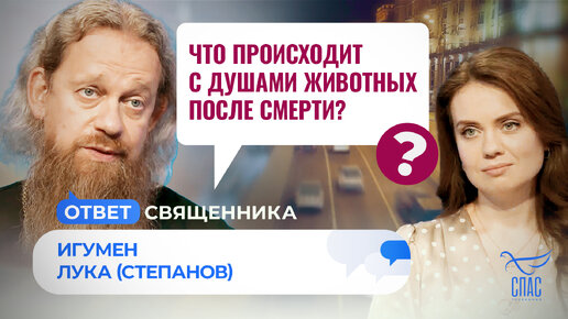 ЧТО ПРОИСХОДИТ С ДУШАМИ ЖИВОТНЫХ ПОСЛЕ СМЕРТИ? ИГУМЕН ЛУКА (СТЕПАНОВ) / ОТВЕТ СВЯЩЕННИКА