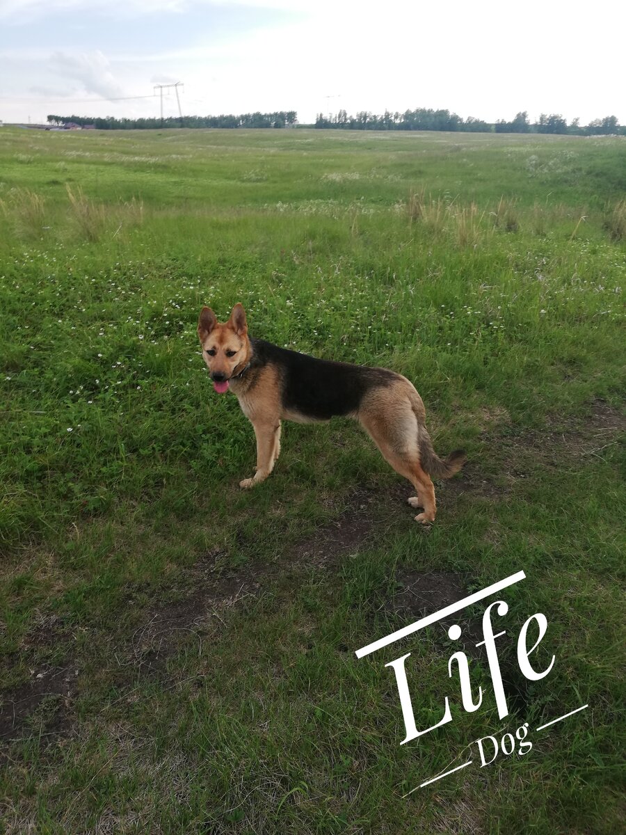 Попробуй поймай меня, незнакомый человек!