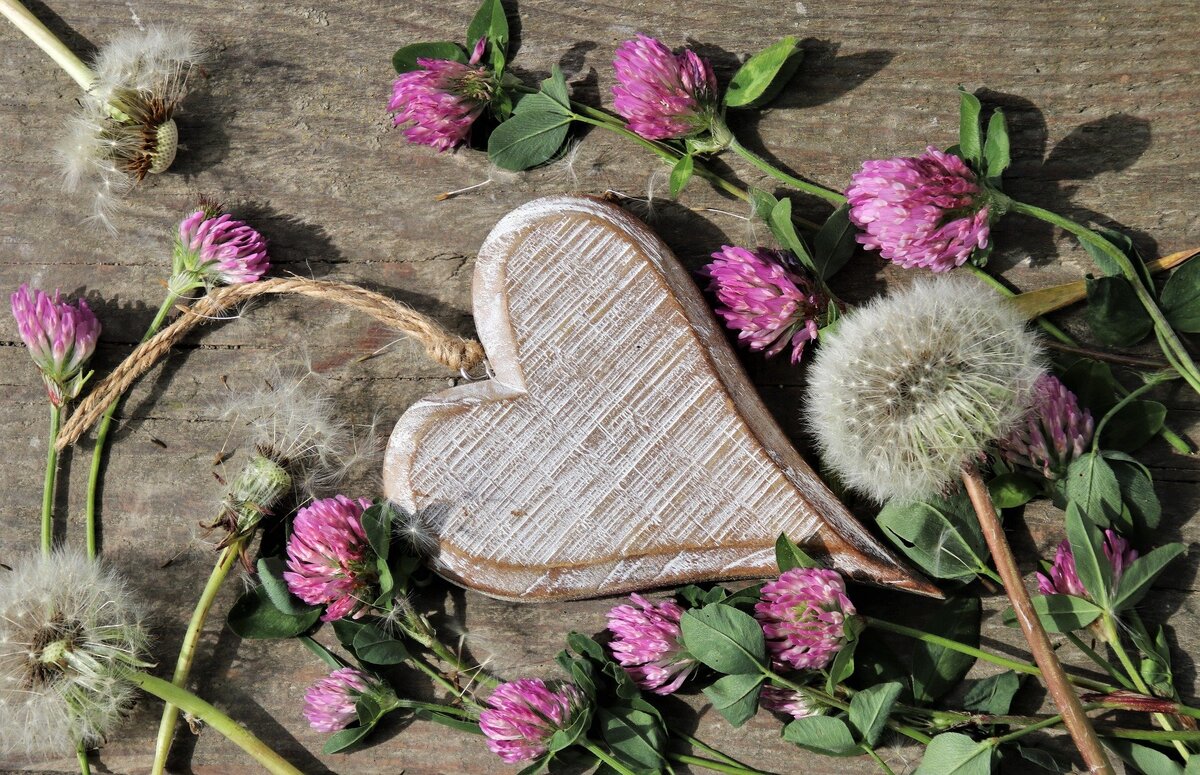 Изображение pasja1000 с сайта Pixabay 